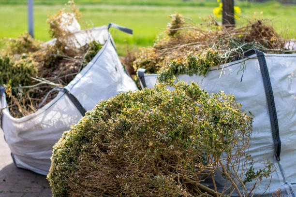 Best Moving and Downsizing Cleanouts  in Statham, GA